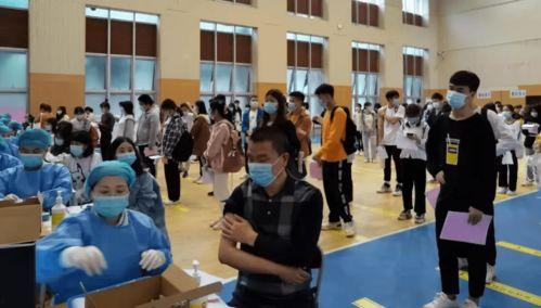 小羊事件爆料最新消息视频,视频揭露惊人内幕 第2张 小羊事件爆料最新消息视频,视频揭露惊人内幕 第2张